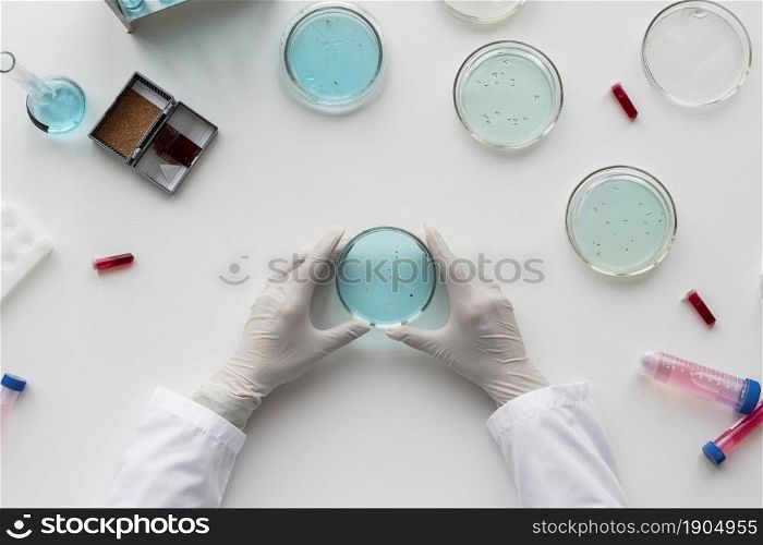 close up hands holding petri dish. Beautiful photo. close up hands holding petri dish