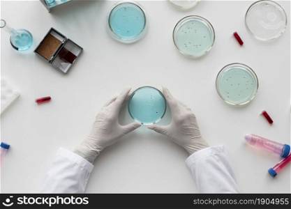 close up hands holding petri dish. Beautiful photo. close up hands holding petri dish
