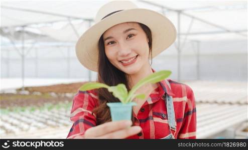 Close-up Happy Asian woman looking at camera with smiling show young healthy plant organic vegetable at greenhouse farm garden, Woman farmer in a garden, New technology in the cultivation concept.