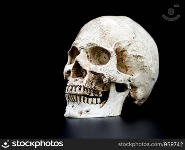 Close up Human skull on the black background. Concept of halloween