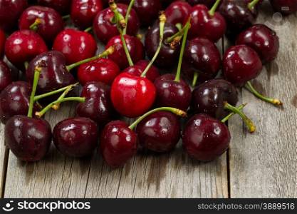 Close up image freshly picked whole black cherries on rustic wood.