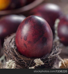 Close up image of beautiful naturally colored Easter egg in nest. Eggs painted in onion skins. Dried white flowers decoration. Easter holiday concept.