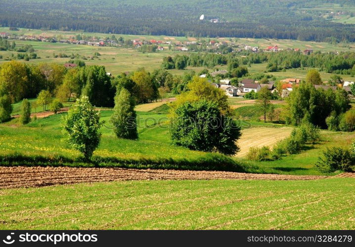 Close - up image of fresh spring green grass