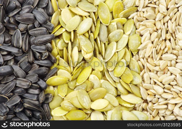 Close up image of sunflower and pumpkin seeds