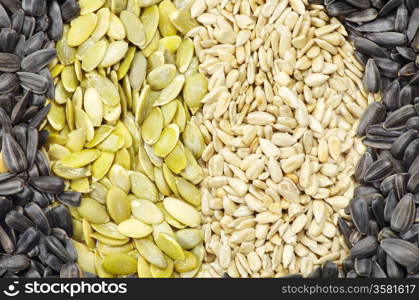 Close up image of sunflower and pumpkin seeds