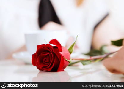 Close up image of young couple holding hands having date at cafe