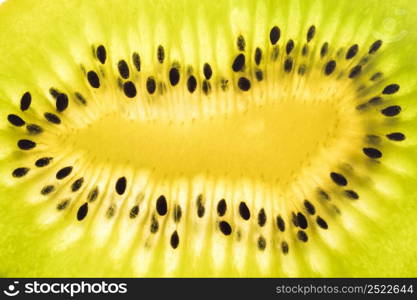 close up kiwi fruit slice