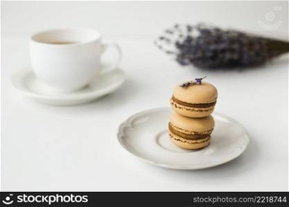 close up macarons with lavender