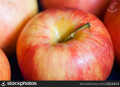 Close-up macro of fresh natural organic apple candid shot.