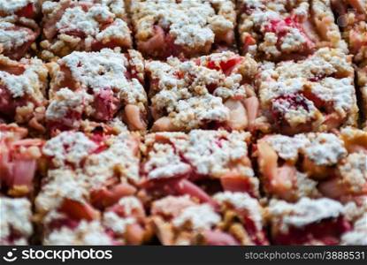 Close-up macro of fresh rhubarb cake pastry sprinkled with white powdered sugar icing, cut into squares with focus on middle piece.