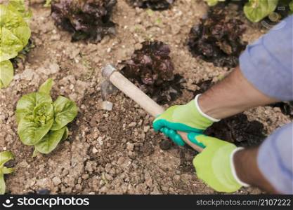 close up male gardener s hand digging soil vegetable garden