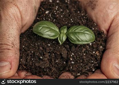 close up male hands holding soil growing plant