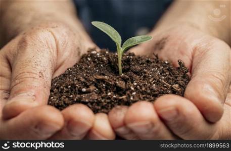 close up male hands holding soil little plant. Resolution and high quality beautiful photo. close up male hands holding soil little plant. High quality beautiful photo concept