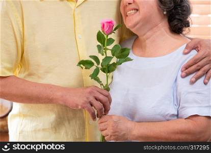 Close up male senior hand giving pink rose to wife in Valentine?s Day.Happy smiling female senior snuggle with her husband