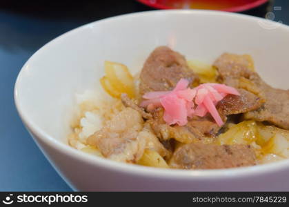 close up meat ove rice in white bowl , Japanese style food