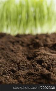 close up natural soil grass