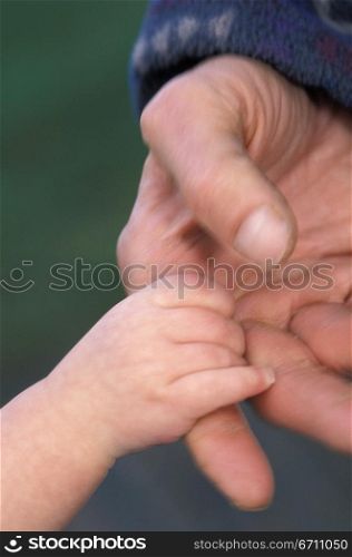 Close up of a baby&acute;s hand holding an adults finger