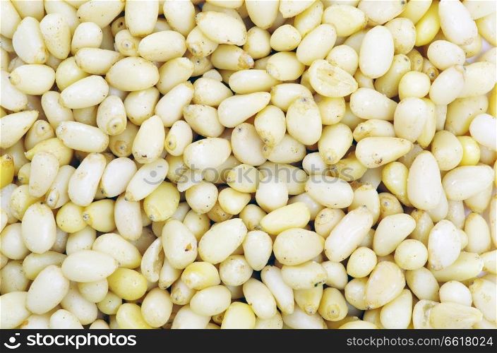 Close up of a background pine nuts