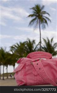 Close-up of a bag, South Beach, Miami Beach, Florida, USA
