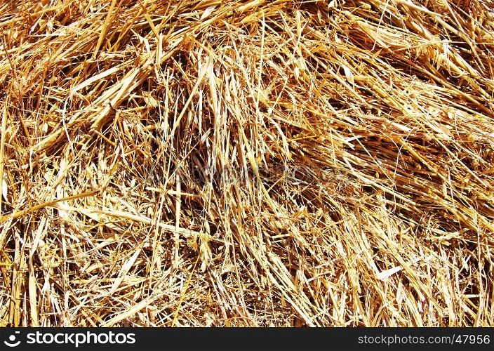 close-up of a bale of hay