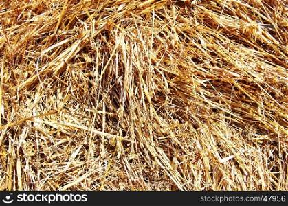 close-up of a bale of hay