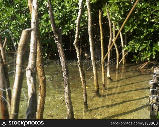 Close-up of a barbed wire fence in a pond