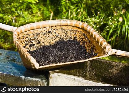 Close-up of a basket with mustard seeds, Emerald Valley, Huangshan, Anhui Province, China