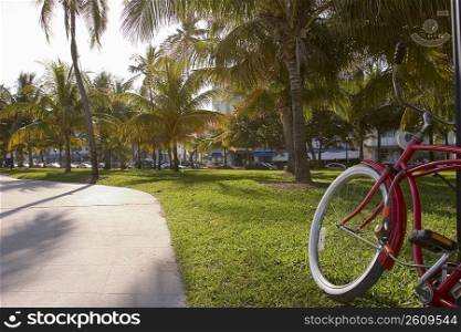 Close-up of a bicycle near a road, South Beach, Miami Beach, Florida, USA
