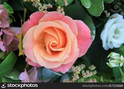 Close up of a big soft pink rose with different shades on pink in a flowerarrangement