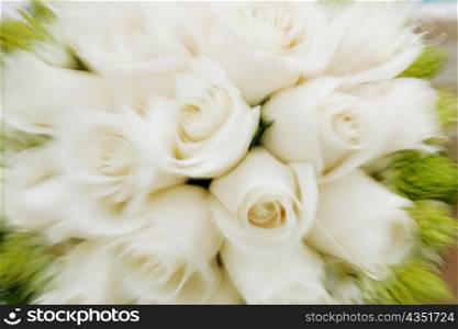 Close-up of a bouquet of white roses