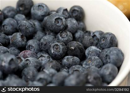 Close up of a bowl of blue berries