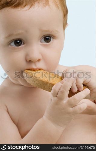 Close-up of a boy eating a toast