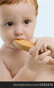 Close-up of a boy eating a toast