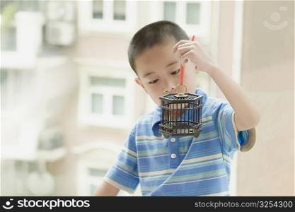 Close-up of a boy holding a birdcage with a bird in it