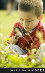 Close-up of a boy looking at a plant through a magnifying glass