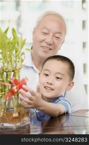 Close-up of a boy smiling and touching a bamboo plant with his grandfather behind him