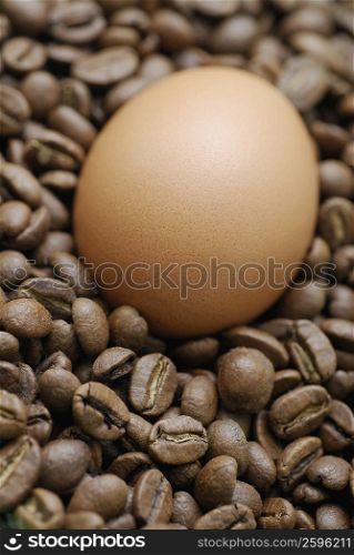 Close-up of a brown egg with coffee beans
