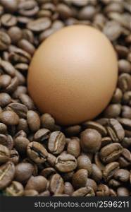 Close-up of a brown egg with coffee beans