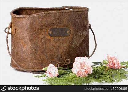 Close-up of a bucket with flowers