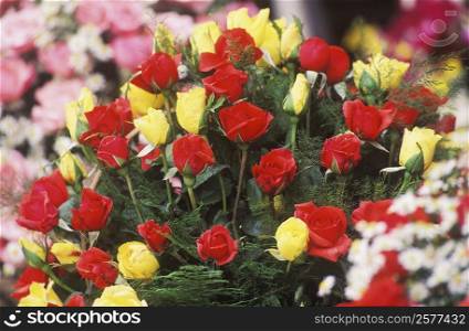 Close-up of a bunch of roses