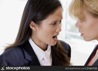 Close-up of a businesswoman scolding another businesswoman