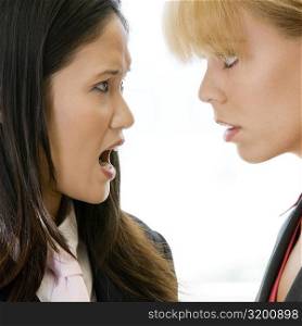 Close-up of a businesswoman scolding another businesswoman