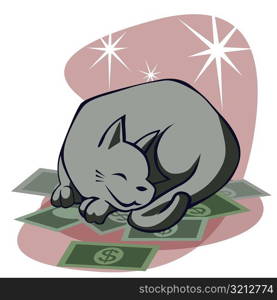 Close-up of a cat sleeping on dollar bills