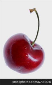 Close-up of a cherry