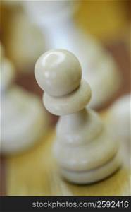 Close-up of a chess piece