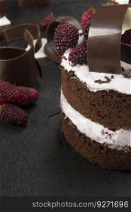 Close up of a chocolate cake