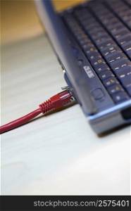 Close-up of a computer cable plugged into a laptop