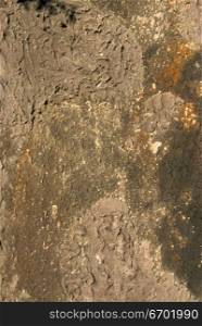 Close-up of a concrete surface