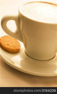 Close-up of a cup of coffee served with a cookie