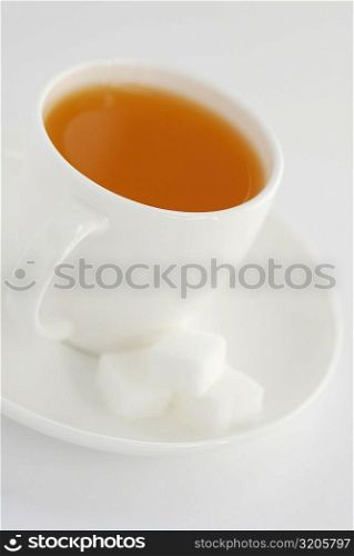 Close-up of a cup of herbal tea with sugar cubes on a saucer